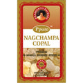 Incenso Indiano PPURE COPALE 12 bustine