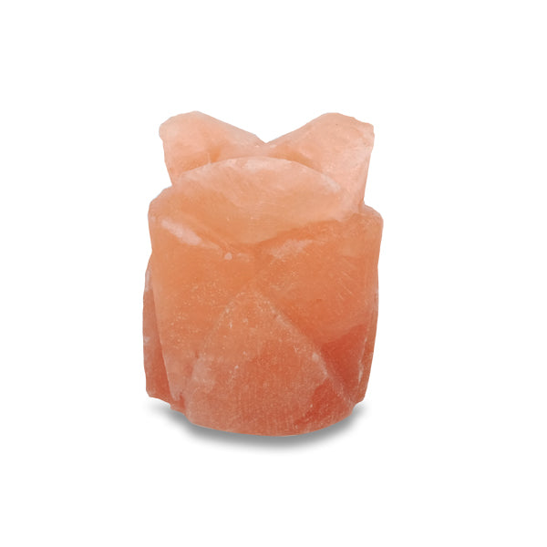 PORTALUMINO "FIORE" IN SALE HIMALAYA