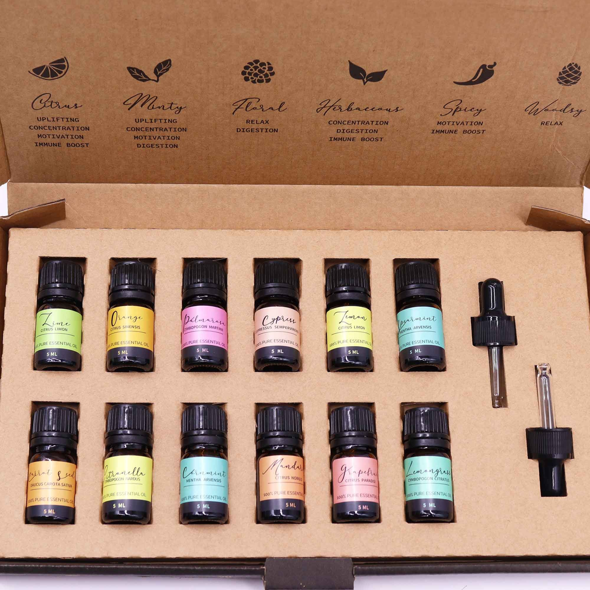 Set Inglese di Olii Essenziali per Aromaterapia Set Estate