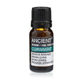 Olio Essenziale di Menta Campestre (Menta Cinese) 10 ml