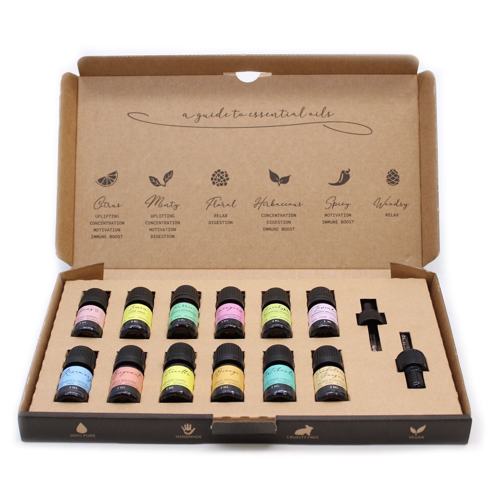 Set Inglese di Olii Essenziali per Aromaterapia I 12 migliori