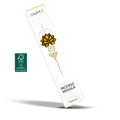 Incenso Masala Vaniglia "ANIMA" 12 Sticks