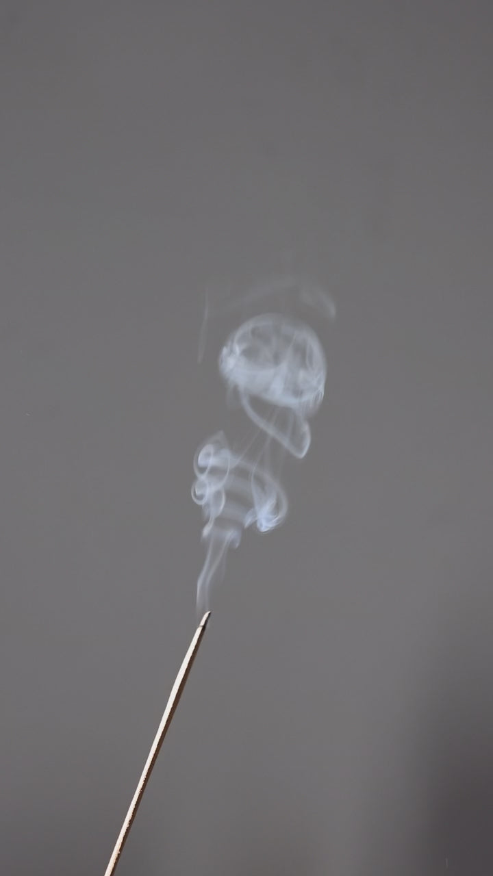 Incenso Masala Vaniglia "ANIMA" 12 Sticks